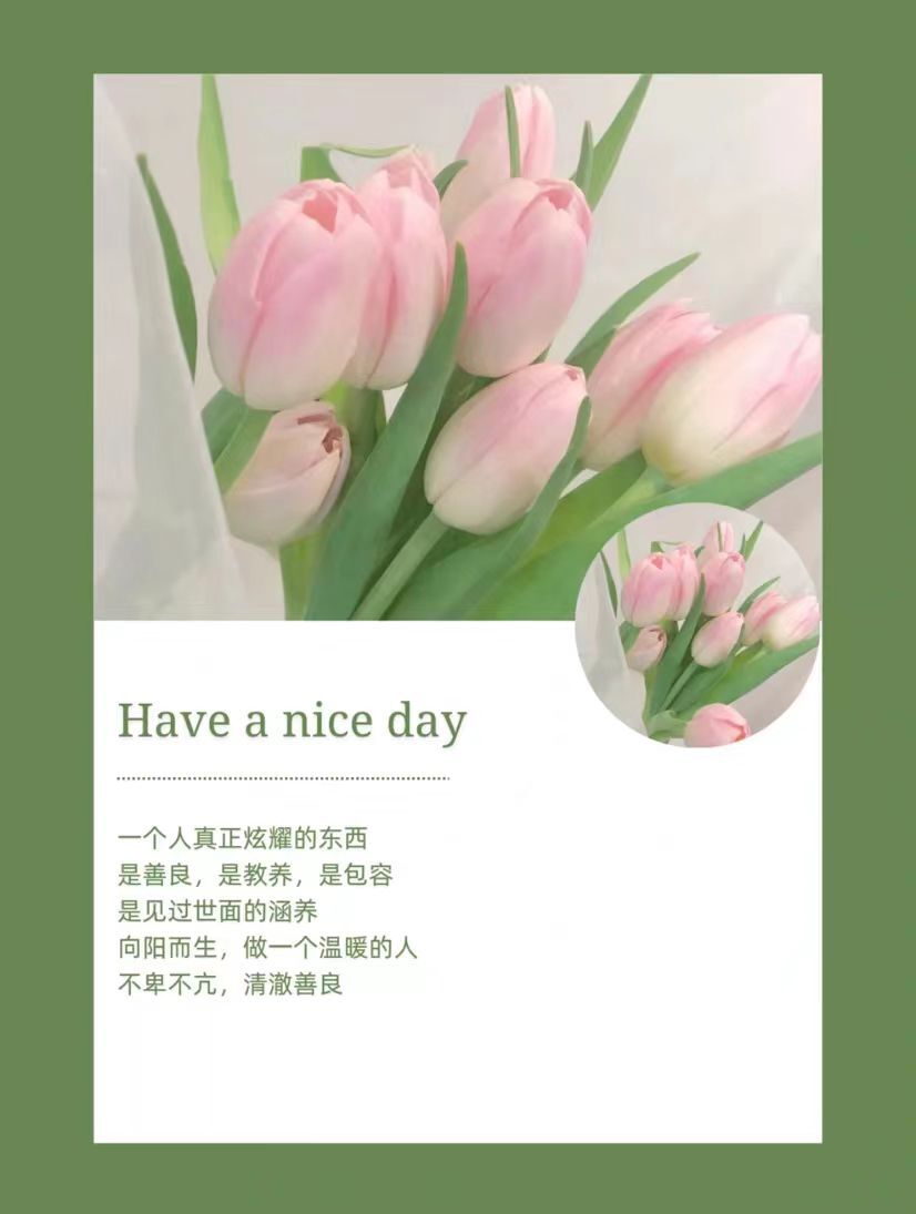 安琪同学的图片