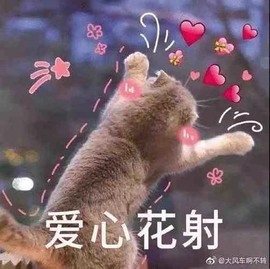 小米🧡好好好主播照片