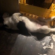 x*nv的头像