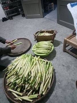 🍀🍀🌸🍀主播照片