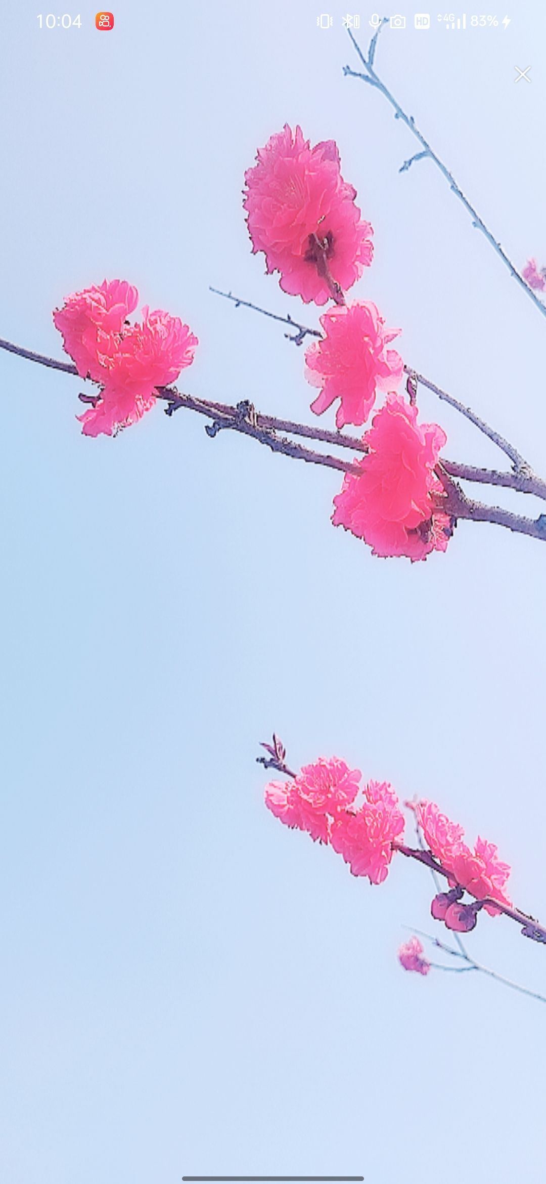 婷婷💕感恩有你陪伴的图片