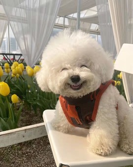 🍊小布布主播照片