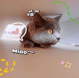 阳阳💕晚上见主播照片