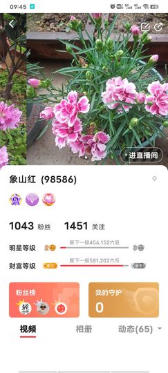 象山红的图片