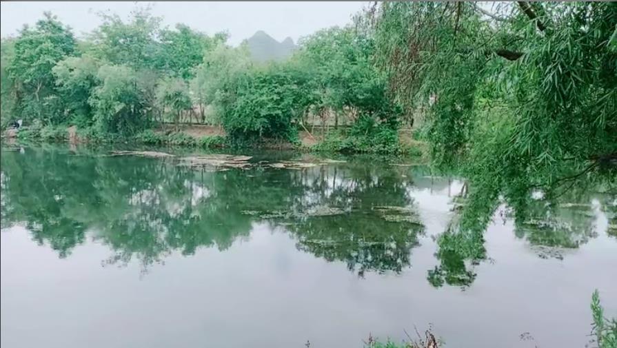 果果(平安好运)的图片