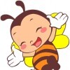 小蜜蜂吖的头像