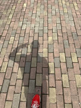 ♬茄酒人生♫主播照片