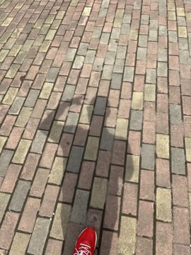 ♬茄酒人生♫主播照片