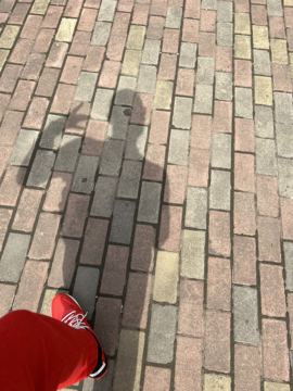 ♬茄酒人生♫主播照片