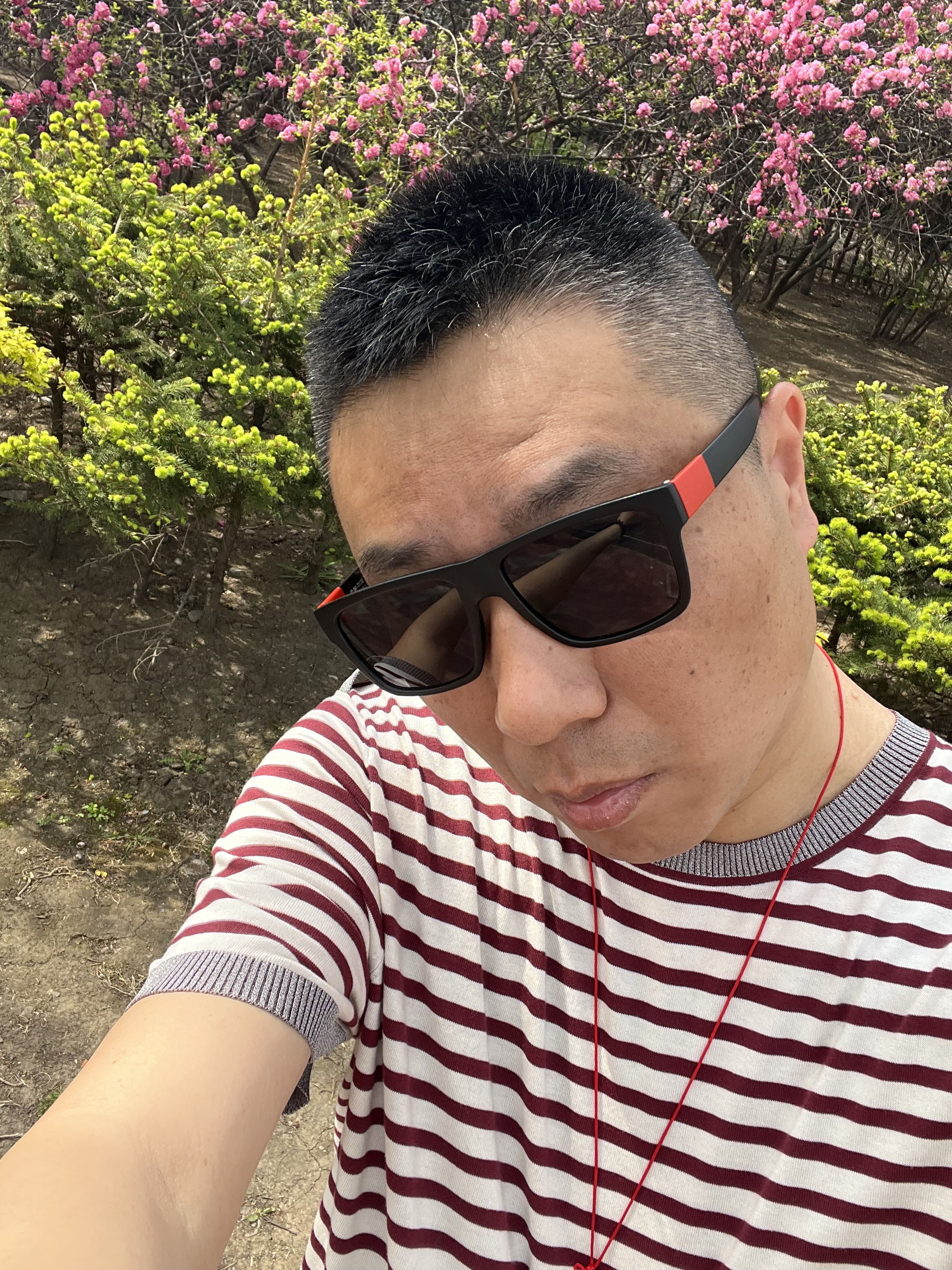 ♬茄酒人生♫主播照片