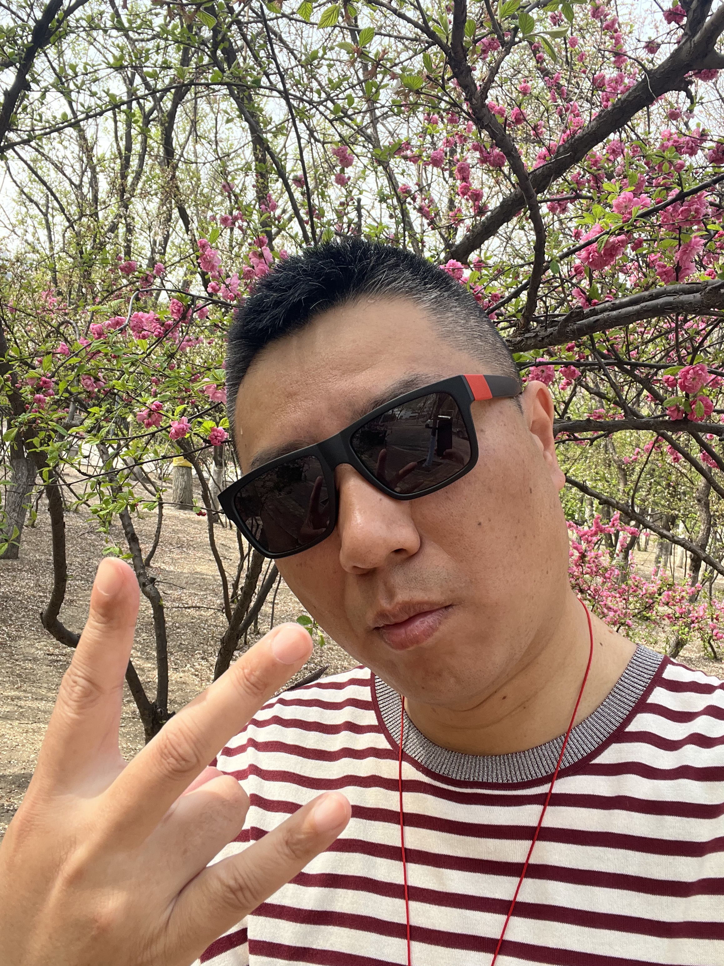 ♬茄酒人生♫主播照片