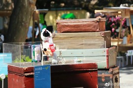 ✨小諵亰💕主播照片