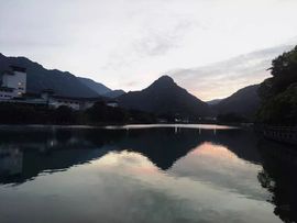 藏獒王∶成龙沸沸主播照片