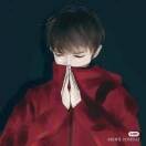 已不再是少年