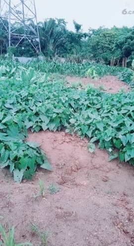 甜蜜未来乐在心怀主播照片