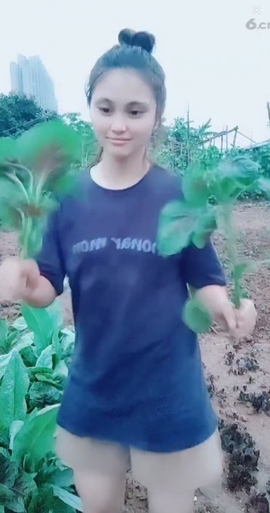 甜蜜未来乐在心怀主播照片