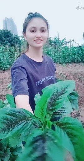 甜蜜未来乐在心怀主播照片