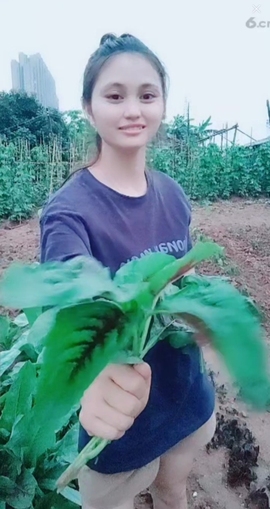 甜蜜未来乐在心怀主播照片