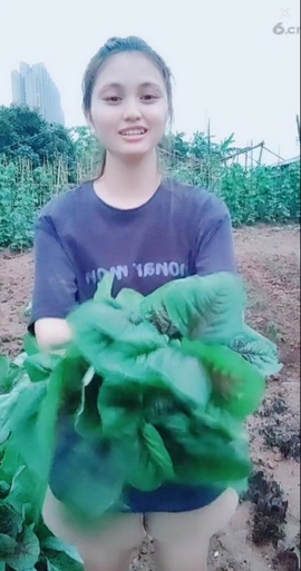 甜蜜未来乐在心怀主播照片