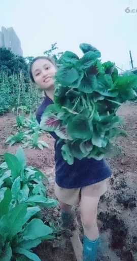 甜蜜未来乐在心怀主播照片