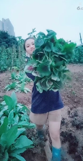 甜蜜未来乐在心怀主播照片