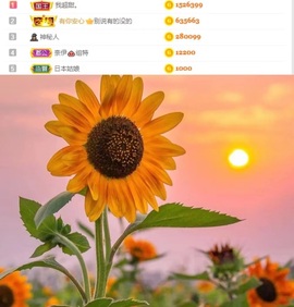 谁的糖。主播照片