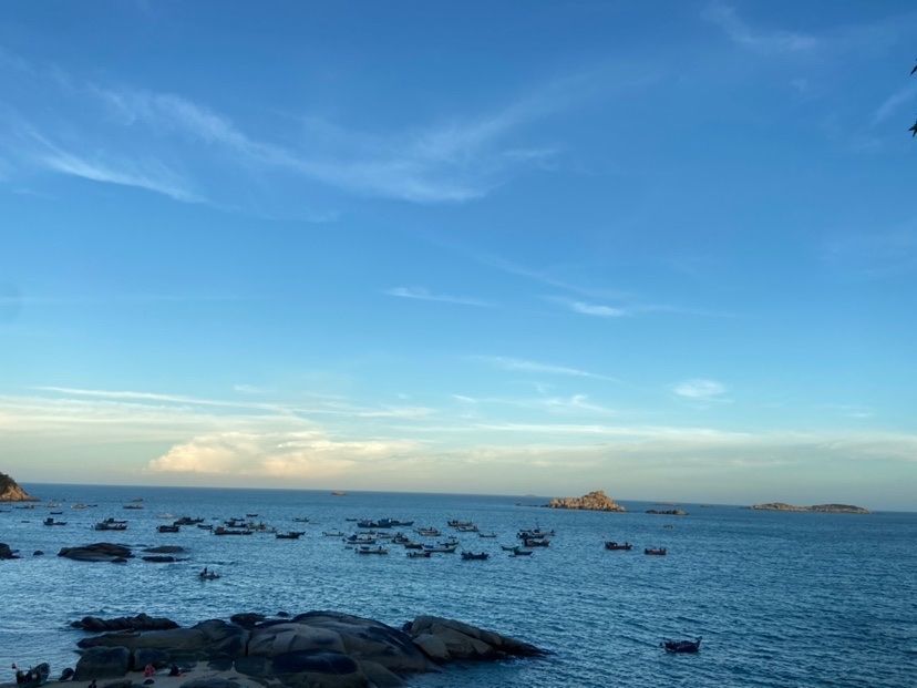 骑小黄车追法拉鲲。主播图片