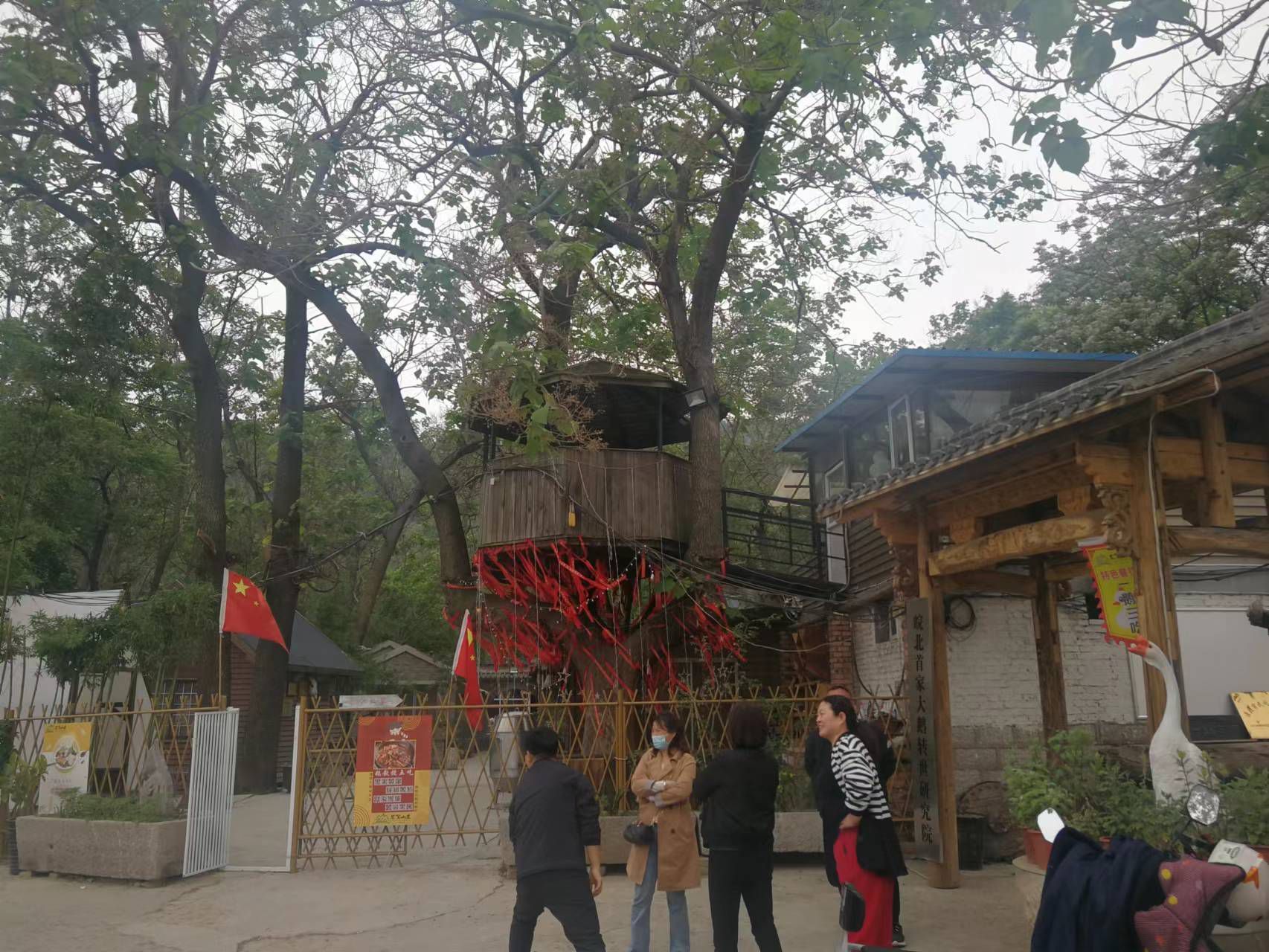 果果(平安好运)的图片
