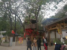 果果(平安好运)主播照片