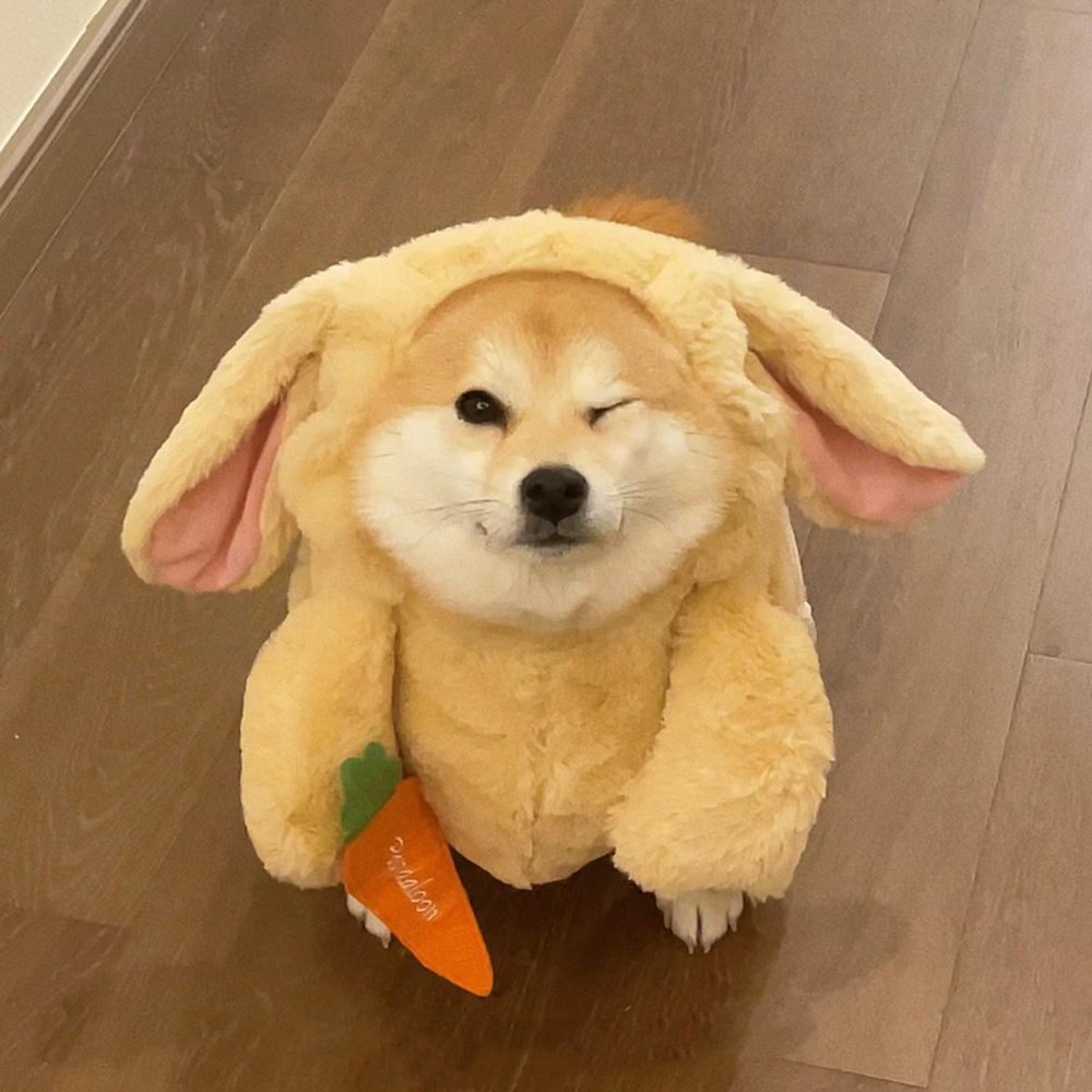 希希瑞的主播照片
