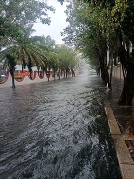 雨果汁🦊主播照片