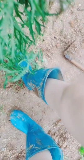 甜蜜未来乐在心怀主播照片