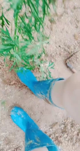 甜蜜未来乐在心怀主播照片