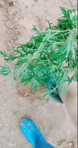 甜蜜未来乐在心怀主播照片