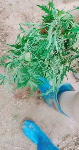 甜蜜未来乐在心怀主播照片