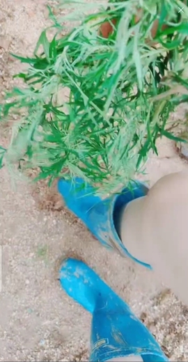 甜蜜未来乐在心怀主播照片