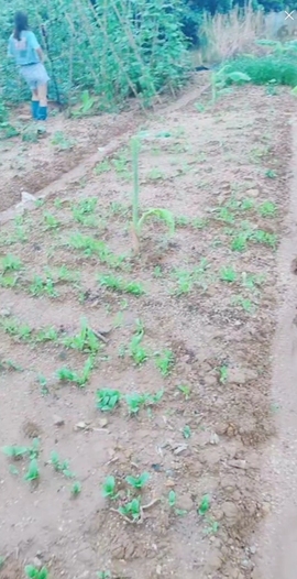 甜蜜未来乐在心怀主播照片
