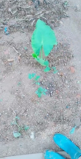 甜蜜未来乐在心怀主播照片