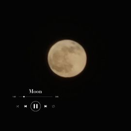 阳阳💕晚上见主播照片