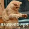 龙牙几海报