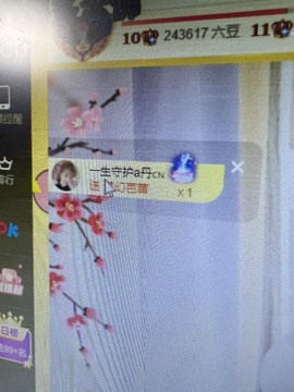 丹从心开始求老板主播照片