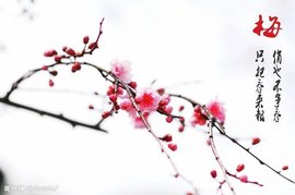 დ释怀დ主播照片