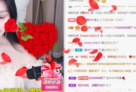 读书去了，有亿点忙主播照片