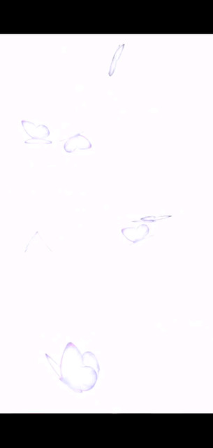 /飞吻/飞吻