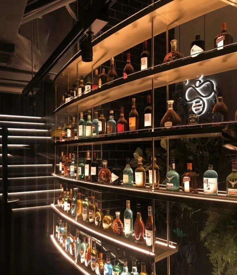 骑小黄车追法拉鲲。主播图片