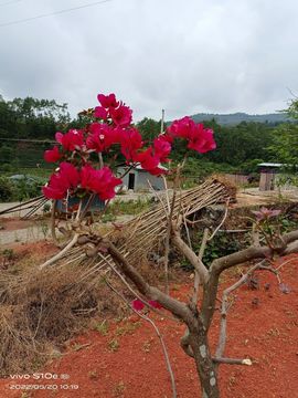 高县亿源建设有限公司主播照片