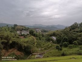 炬广阿涛主播照片