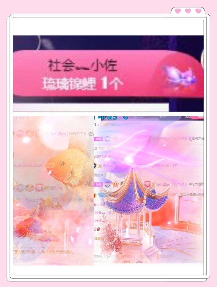凤凤凤凤凤凤凤凤凤.的图片