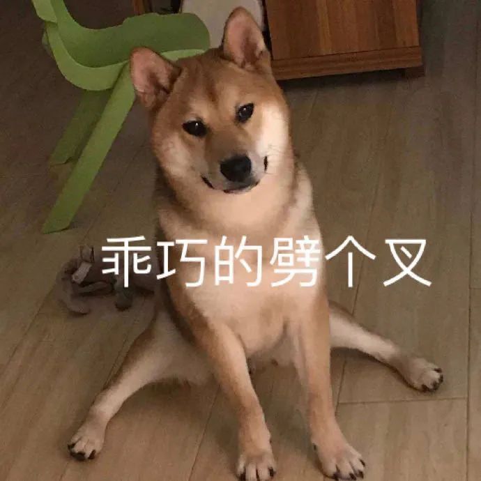 新人可可吖头的图片