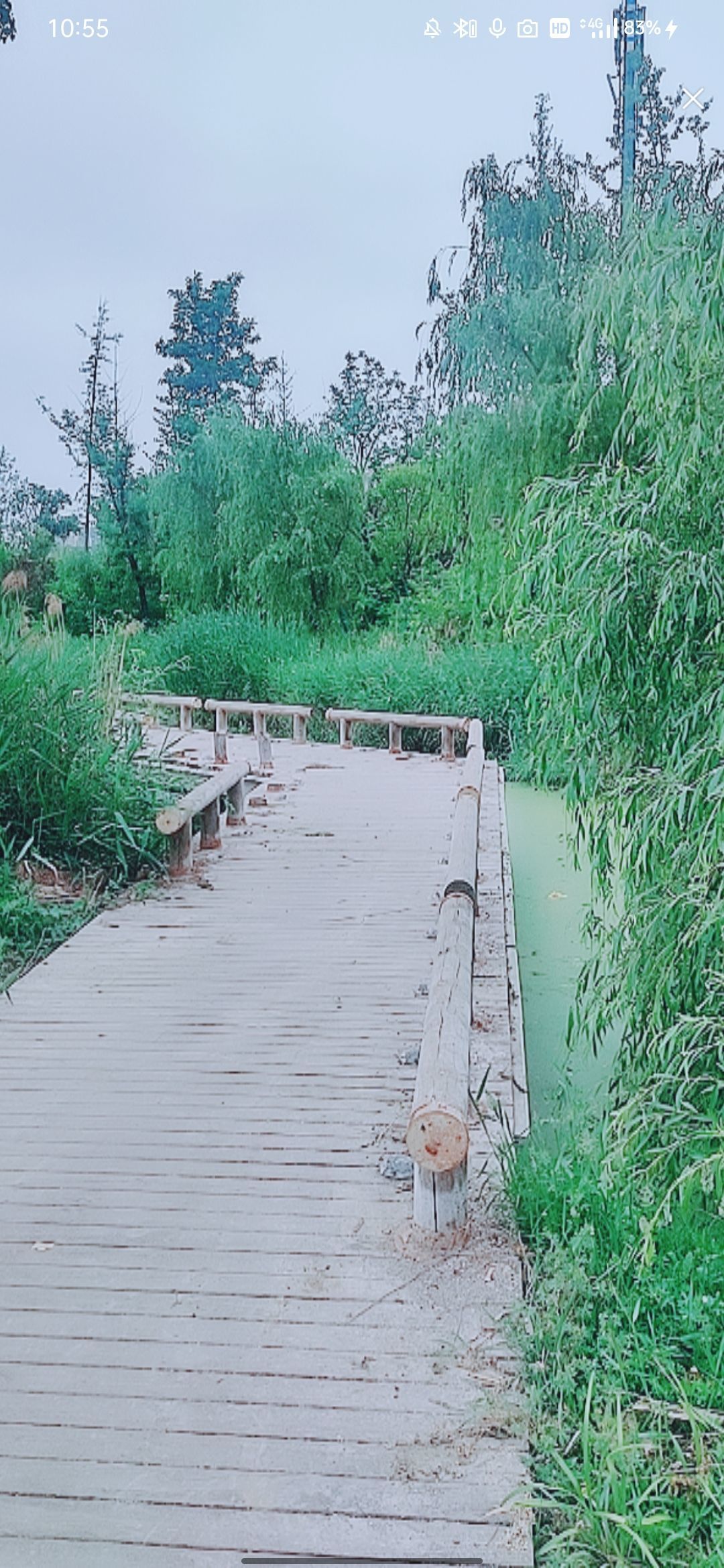 婷婷💕感恩有你陪伴的图片